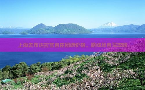 上海去布达拉宫自由团游价格、路线及自驾攻略