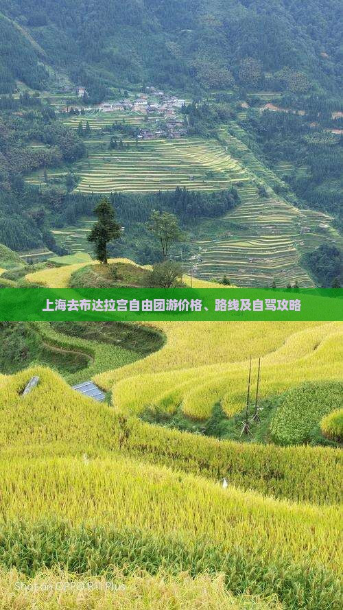 上海去布达拉宫自由团游价格、路线及自驾攻略