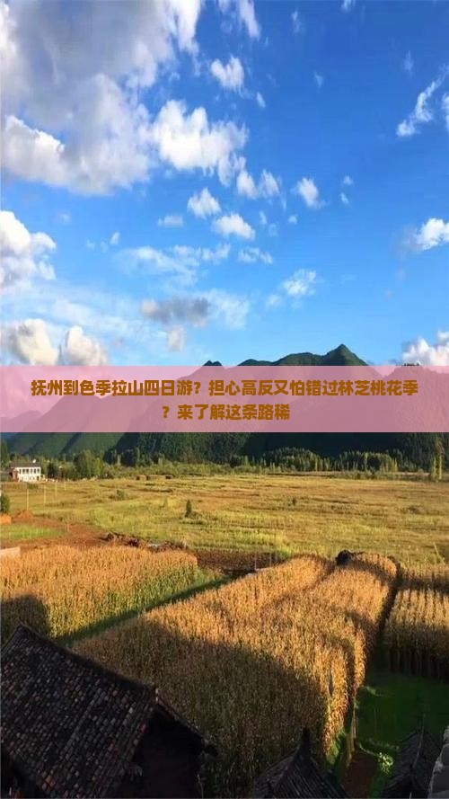 抚州到色季拉山四日游？担心高反又怕错过林芝桃花季？来了解这条路稀