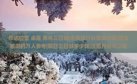 布达拉宫+卓雍+雨林三日游|永新旅行社旅游攻略|想去旅游的万人参考|假日三日游多少钱|注意月份与公司选择