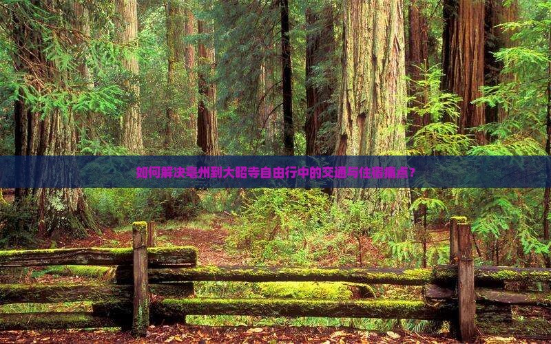如何解决亳州到大昭寺自由行中的交通与住宿痛点？