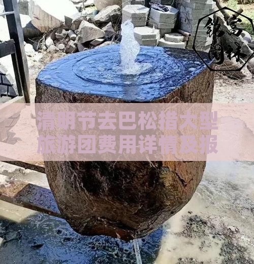 清明节去巴松措大型旅游团费用详情及报价