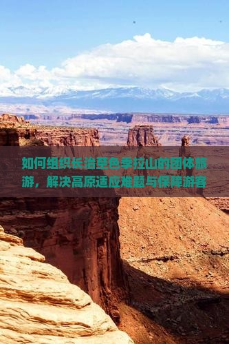 如何组织长治至色季拉山的团体旅游，解决高原适应难题与保障游客安全？