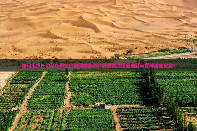 如何组织长治至色季拉山的团体旅游，解决高原适应难题与保障游客安全？