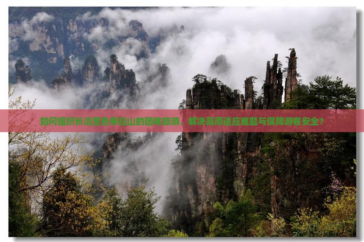如何组织长治至色季拉山的团体旅游，解决高原适应难题与保障游客安全？