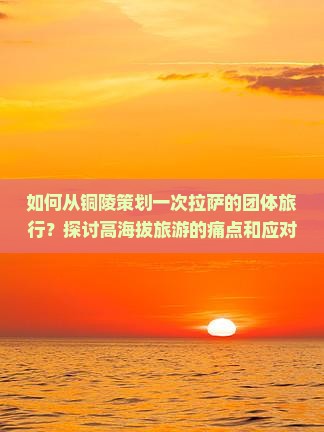 如何从铜陵策划一次拉萨的团体旅行？探讨高海拔旅游的痛点和应对策略！