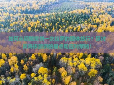 如何从铜陵策划一次拉萨的团体旅行？探讨高海拔旅游的痛点和应对策略！