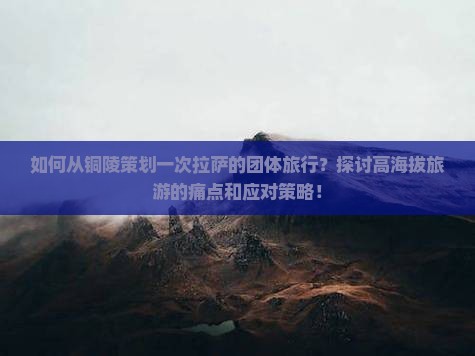 如何从铜陵策划一次拉萨的团体旅行？探讨高海拔旅游的痛点和应对策略！