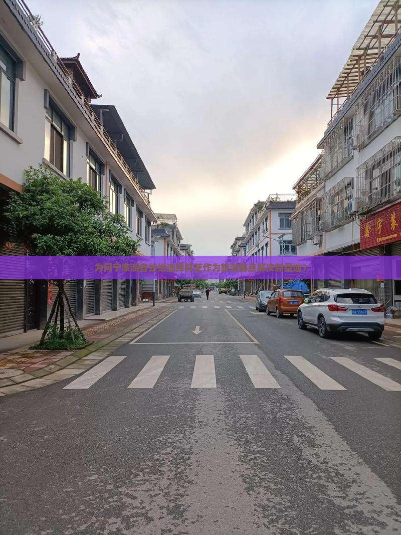 为何宁波游客纷纷选择林芝作为旅游痛点解决新圣地？