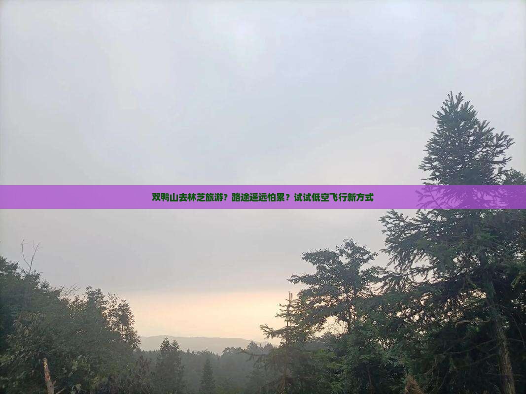 双鸭山去林芝旅游？路途遥远怕累？试试低空飞行新方式