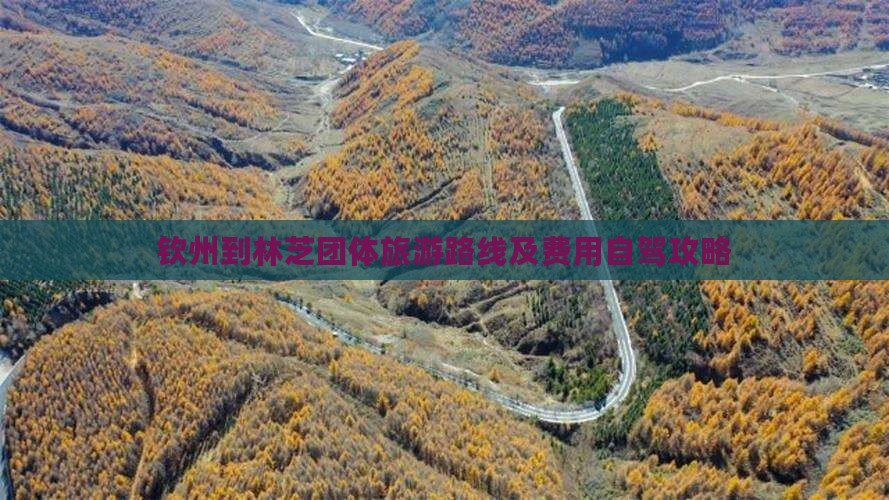 钦州到林芝团体旅游路线及费用自驾攻略