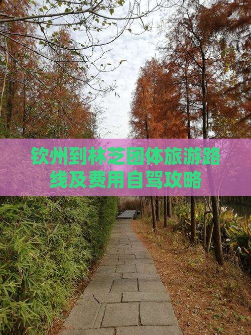 钦州到林芝团体旅游路线及费用自驾攻略