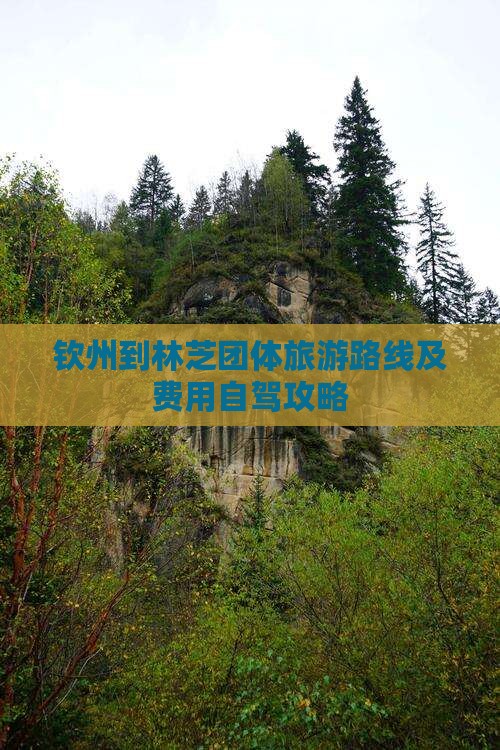 钦州到林芝团体旅游路线及费用自驾攻略