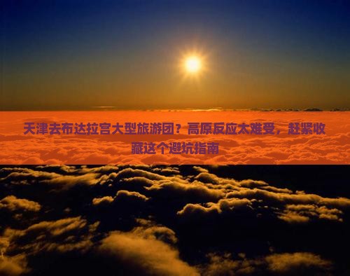 天津去布达拉宫大型旅游团？高原反应太难受，赶紧收藏这个避坑指南