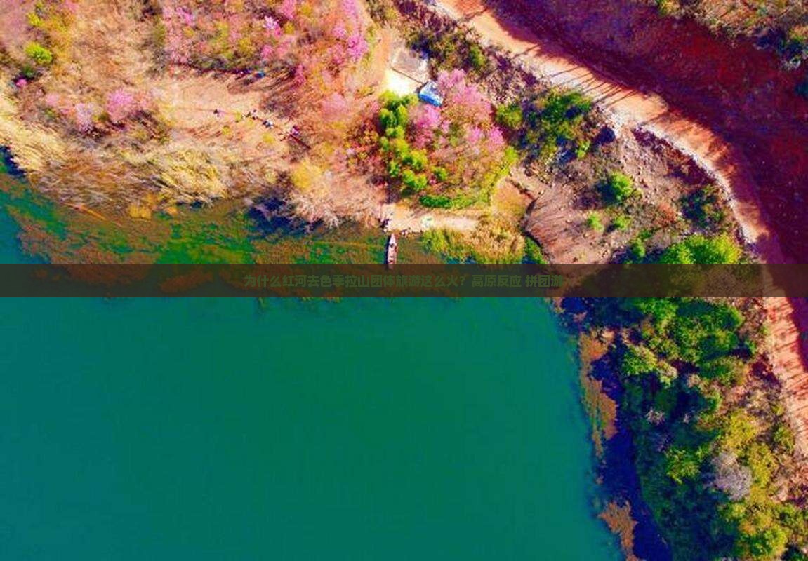 为什么红河去色季拉山团体旅游这么火？高原反应+拼团游