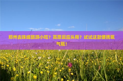 郑州去珠峰旅游小吃？高原反应头疼？试试这款便携氧气瓶！
