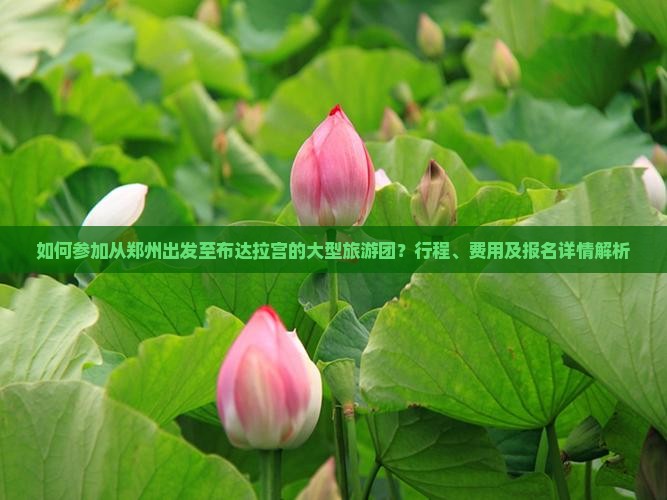如何参加从郑州出发至布达拉宫的大型旅游团？行程、费用及报名详情解析