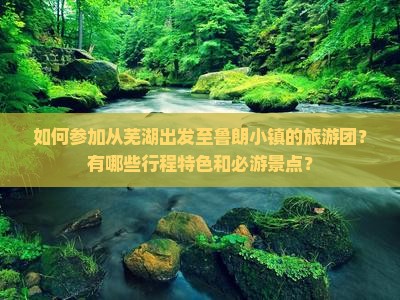 如何参加从芜湖出发至鲁朗小镇的旅游团？有哪些行程特色和必游景点？