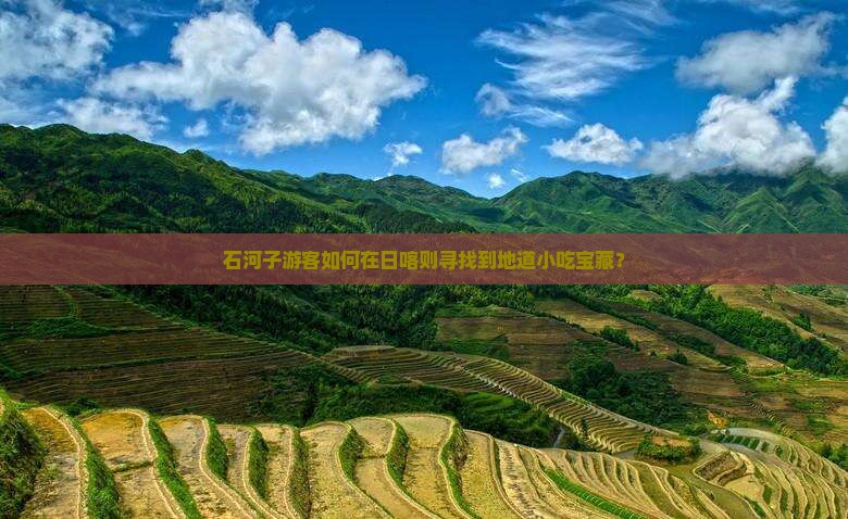 石河子游客如何在日喀则寻找到地道小吃宝藏？