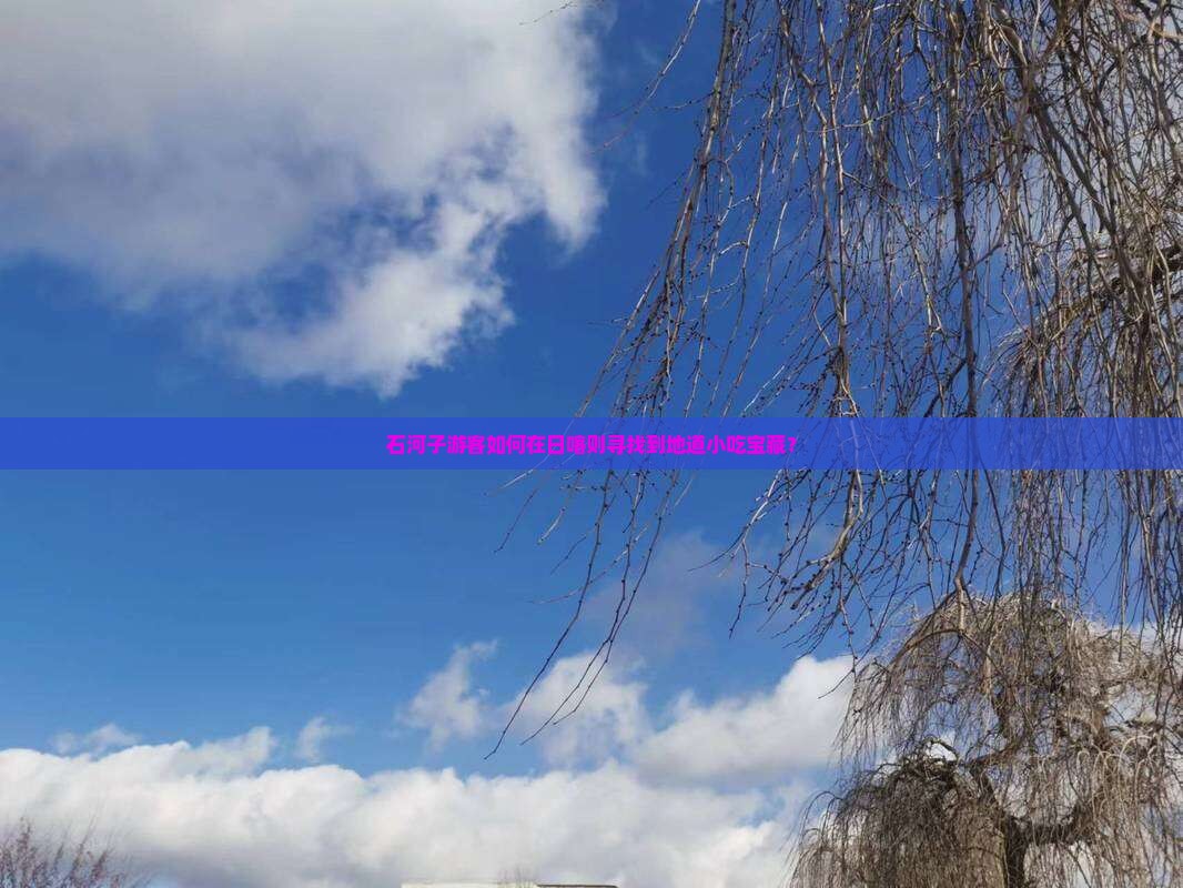 石河子游客如何在日喀则寻找到地道小吃宝藏？