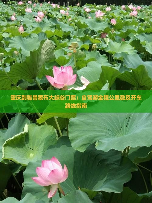 肇庆到雅鲁藏布大峡谷门票：自驾游全程公里数及开车路线指南