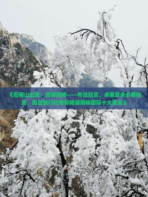 《石嘴山出发：旅游攻略——布达拉宫、卓雍景点必看信息，假日旅行社带你畅游雨林国际十大景点》