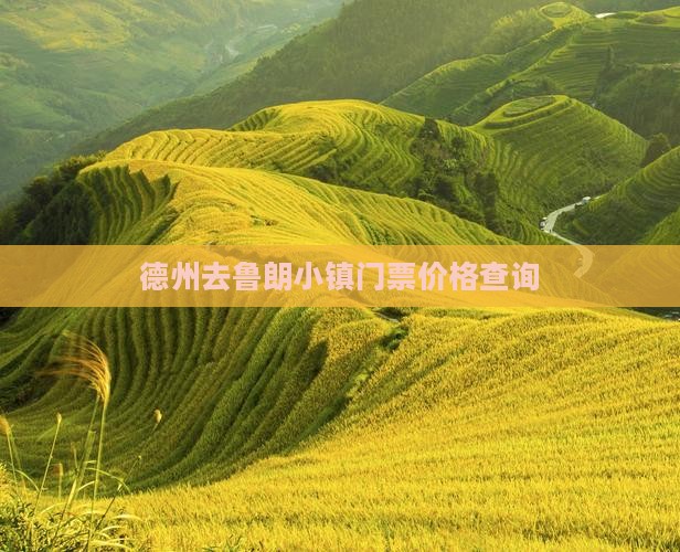 德州去鲁朗小镇门票价格查询