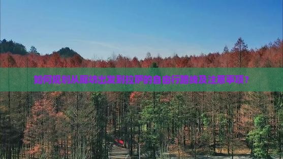 如何规划从廊坊出发到拉萨的自由行路线及注意事项？