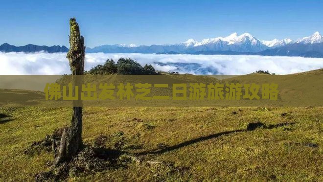 佛山出发林芝二日游旅游攻略