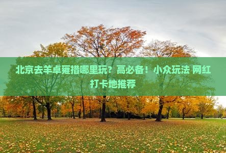 北京去羊卓雍措哪里玩？高必备！小众玩法+网红打卡地推荐