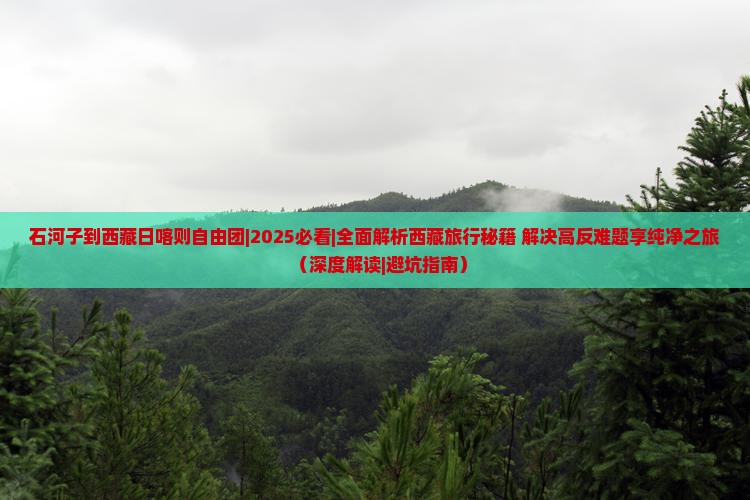 石河子到西藏日喀则自由团