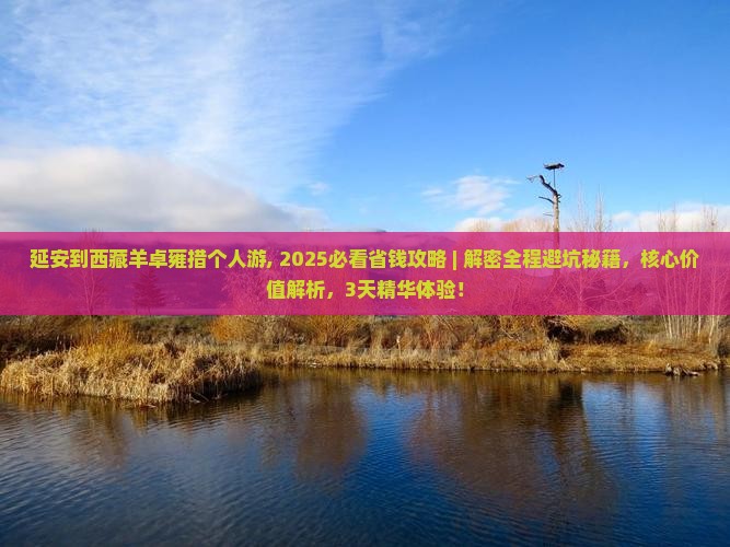 延安到西藏羊卓雍措个人游