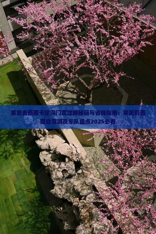 莱芜去西藏卡定沟门票