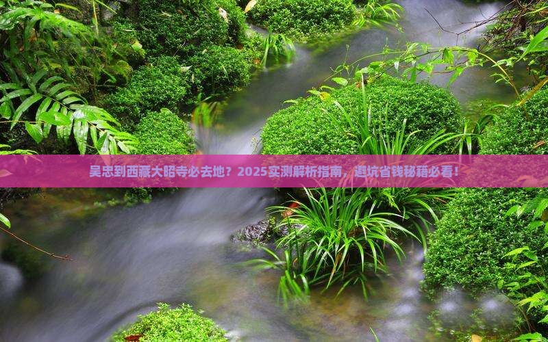 吴忠到西藏大昭寺必去地