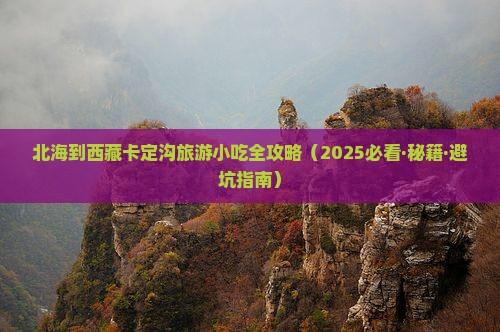 北海到西藏卡定沟旅游小吃