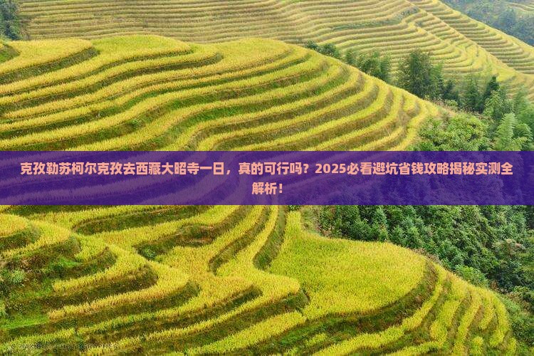 克孜勒苏柯尔克孜去西藏大昭寺一日 克孜勒苏柯尔克孜去西藏大昭寺一日