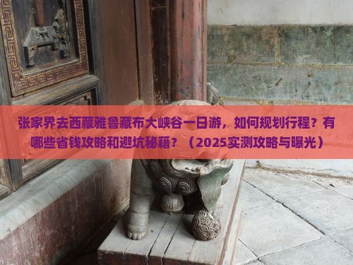 张家界去西藏雅鲁藏布大峡谷一日