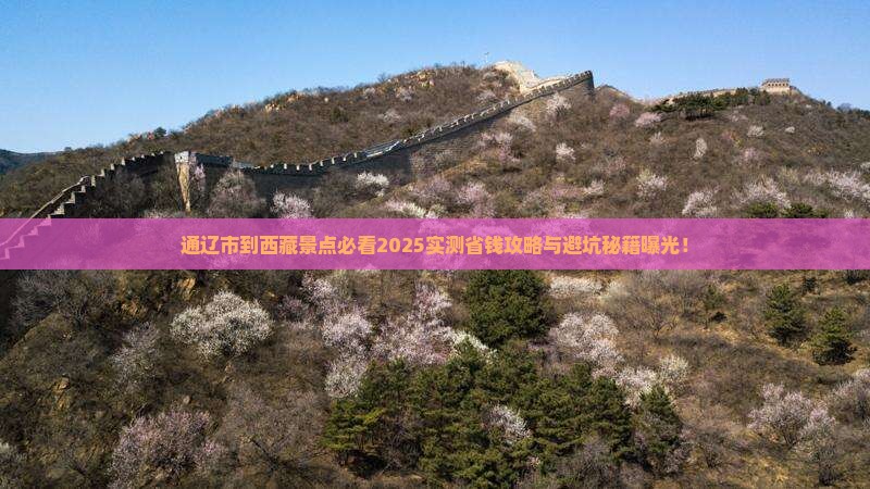 通辽市到西藏景点