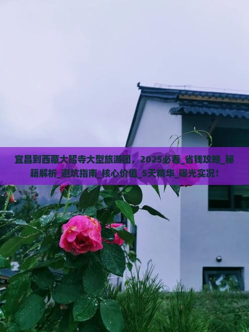 宜昌到西藏大昭寺大型旅游团
