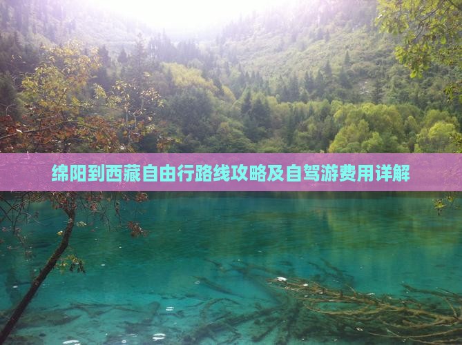 绵阳到西藏自由行