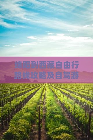 绵阳到西藏自由行