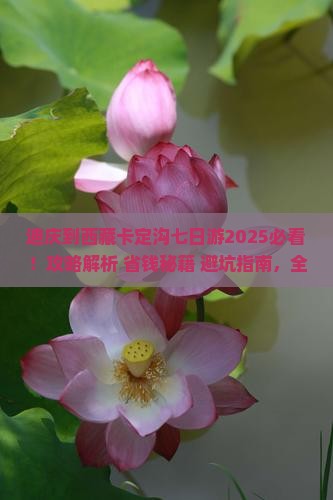 迪庆到西藏卡定沟七日游