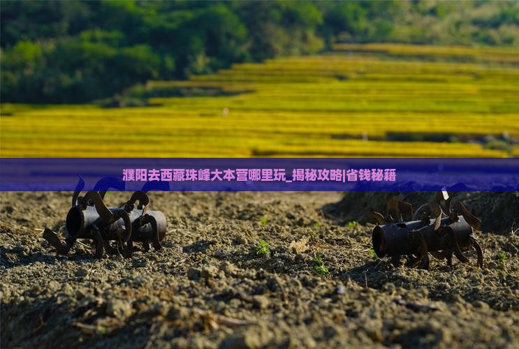 濮阳去西藏珠峰大本营哪里玩