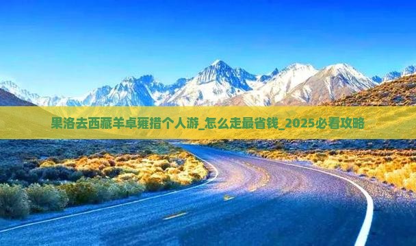 果洛去西藏羊卓雍措个人游