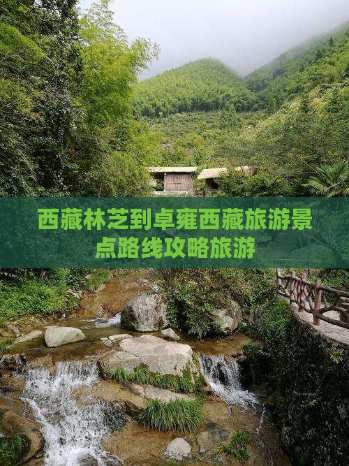 林芝到西藏羊卓雍措团体旅游