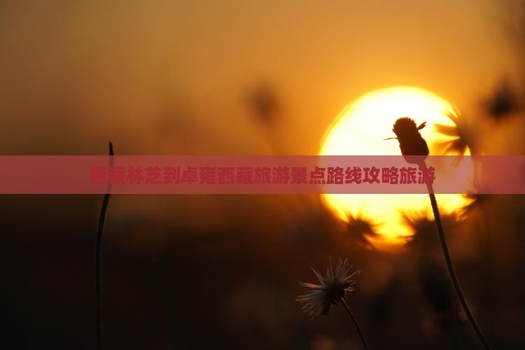 林芝到西藏羊卓雍措团体旅游