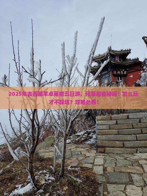 二月到西藏羊卓雍措五日游