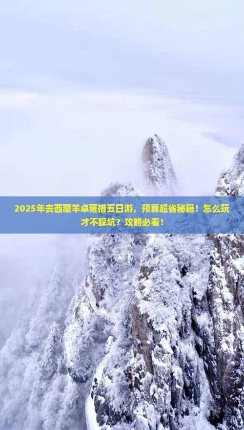 二月到西藏羊卓雍措五日游