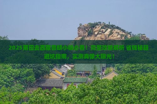 莆田去西藏鲁朗小镇攻略