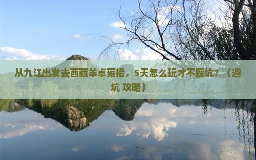九江去西藏羊卓雍措自由行